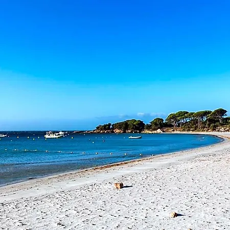 Résidence Pierre&vacances Premium Vesna Rossa Porto-Vecchio (Corsica)